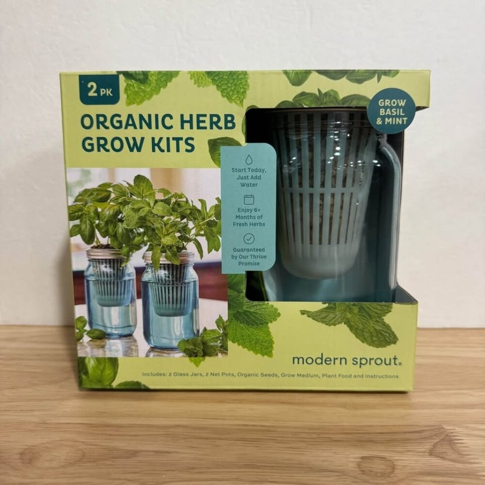 Herb Garden NEW 2-pack Blue Mason Jar Windowsill Plants Basil and Mint